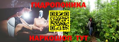 МДПВ Кандалакша