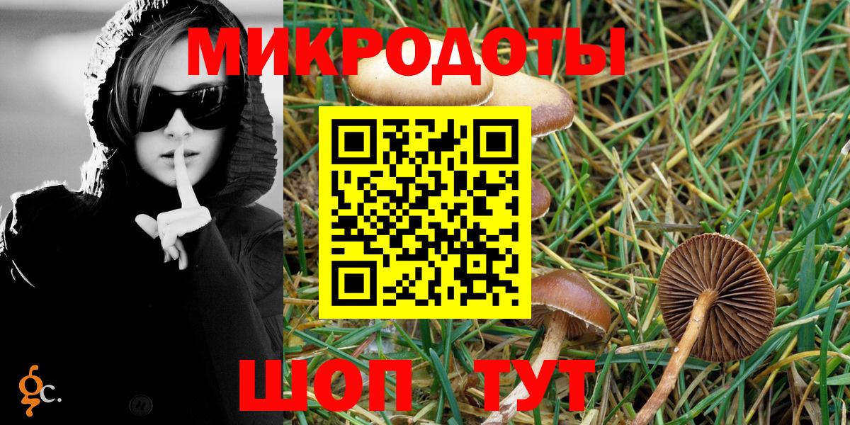 Дивногорск  Галлюциногенные грибы Psilocybe  Вход с VPN 
